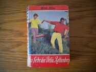 Das Erbe der Delia Rothenberg,Heide Heim,Borgsmüller Verlag,50/60er Jahre - Linnich