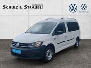 VW Caddy, 2.0 TDI Maxi Kombi (EURO 6d-), Jahr 2020 - Bad Salzungen