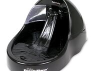 Fresh Flow Deluxe Trinkbrunnen - Trinkbrunnen 3 Liter, schwarz