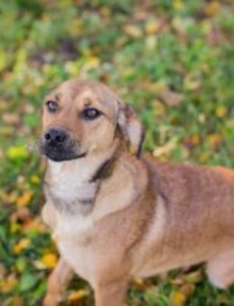 257126 -im Team richtig fest dazugehören - Overath