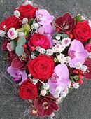 wo bist Du ?? in 47137