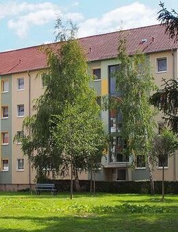 Neu sanierte 2-Raum-Wohnung mit Balkon - Großenhain