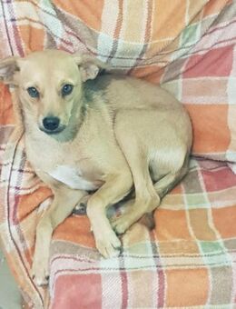 Runa kleine Zaubermaus sucht ihr Publiku - Großefehn