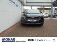 Ford Focus, 1.0 EcoBoost Mild-Hybrid EU6d Titanium Winterpaket Easy-Parking-Paket, Jahr 2023 - Datteln