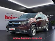 Honda CR-V, 1.5 T VTEC Executive, Jahr 2019 - Dortmund Marten