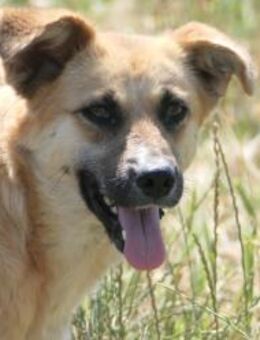 schüchtere, wunderhübsche NAJMA - Kallmünz