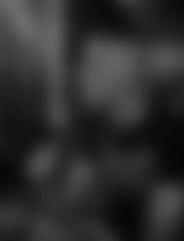 Pau*** - Halle (Saale)