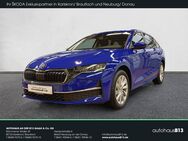 Skoda Octavia, 2.0 TDI Combi Selection, Jahr 2024 - Karlskron