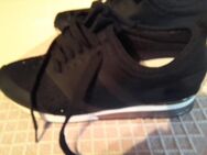 Schwarze Turnschuhe Gr. 40 - Berlin Reinickendorf