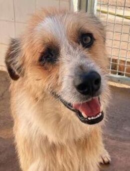 LEZO - ein echtes Unikat! - Sulzbach-Laufen