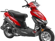Luxxon Motorroller Prime, 49,6 ccm, 45 km/h, Euro 5