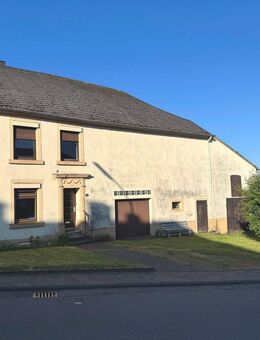 Renovierungs- sanierungsbedürftiges Einfamilienhaus mit Scheune und großem Grundstück // für Handwerker besonders geeignet - Waldweiler