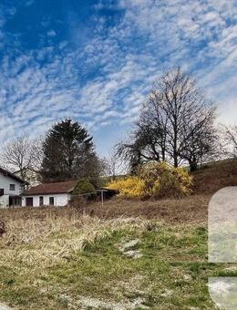 Digitales Angebotsverfahren - Sanierung oder Neubau - Erlbach (Bayern)