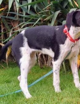 Christina wünscht sich eine Familie - Grevenbroich