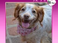 ❤ SKYE ❤ - SUCHT WEICHES SOFA - Alfeld (Leine)