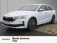 Skoda Octavia, 2.0 TDi Combi Selection, Jahr 2022 - Trier