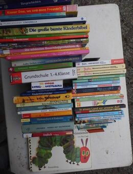 Kinderbücher Bilderbücher Geschichten Kinderbibel Disney 50 Bücher zusammen 5,- - Flensburg