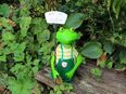 Zaunhocker Frosch Bin im Garten in 41844