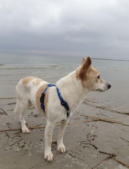 Hallo ich bin Yuma aus Berlin - Bedburg