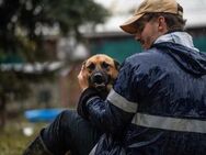 ARCHIE - neugierig aktiv und sozial - Overath