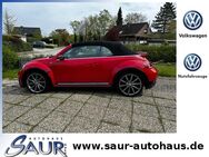 VW Beetle, 2.0 TSI Cabrio R-Line 20Zoll, Jahr 2017 - Bernau (Chiemsee)