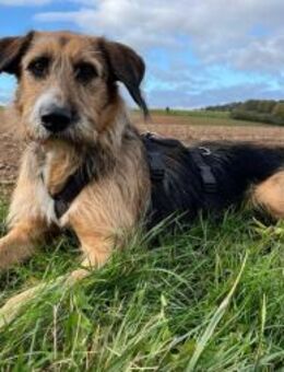 Mac der perfekte Begleiter durchs Leben - Grevenbroich