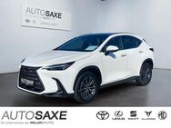 Lexus NX 350h, E-FOUR Executive Line, Jahr 2022 - Leipzig Alt-West