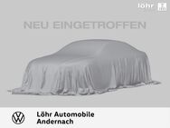 VW Golf, VIII Lim Active, Jahr 2022 - Andernach