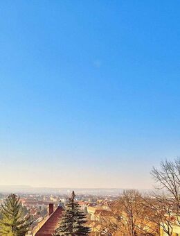 +++ Neubau in Dresden: 4 Zimmer Wohnung mit phantastischer Aussicht +++ - Dresden