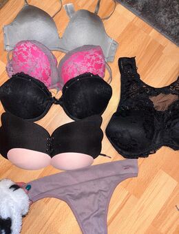 Bh Paket + Slips - Erfurt