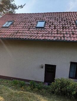 Romantiker aufgepasst! EFH am Waldrand mit Harzblick - Arnstein (Sachsen-Anhalt)