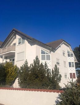 Top-Gelegenheit! Neu renovierte 2 Zimmer, Küche, Bad in Hackenheim zu vermieten. - Hackenheim