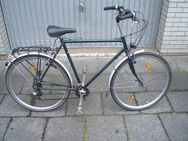 COLUMBUS Trekkingrad / Medium 55cm Rh / 28 Zoll Räder - Köln
