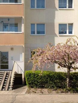 3-Raum-Wohnung mit Aufzug und Balkon - Halle (Saale)