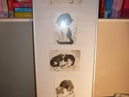 Wandbild 5 Aquarell Katzen - Frankfurt (Main)