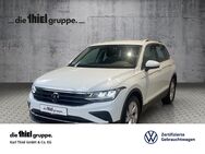 VW Tiguan, 2.0 TDI Life, Jahr 2023 - Rheda-Wiedenbrück