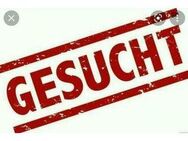 Suche einen Familien Hund - Eisenhüttenstadt