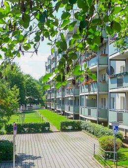 Wohlfühlwohnen am Stadtpark leicht gemacht ... - Chemnitz