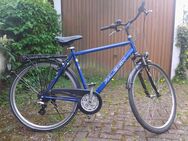 Trekking-Fahrrad zu verkaufen - Steinfurt