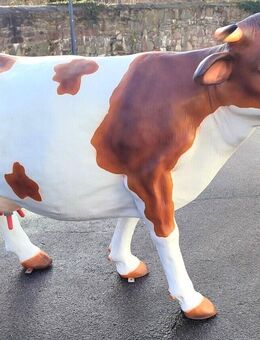 Kuh lebensgroß aufrecht schauend mit Melksystem Dekofigur Gartendeko - Hergisdorf