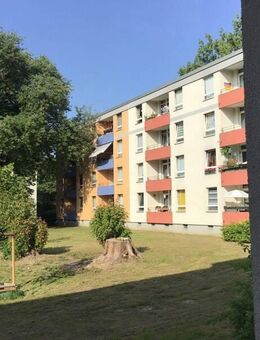 Charmante 3-Zimmer-Wohnung mit Balkon! - Essen