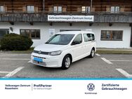 VW Caddy, 2.0 TDI Maxi Life, Jahr 2024 - Raubling