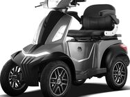 4-Rad Seniorenmobil Eco 25 KM/H / 6KMH Best Ager Elektro-Roller 1kW 60KM COC ab 1990€* - Frankfurt (Main) Fechenheim