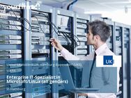 Enterprise IT-Spezialist:in Microsoft/Linux (all genders) - Hamburg