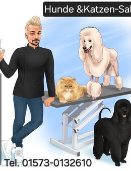 Hunde & Katzen-Salon in 15732 Schulzendorf bietet noch Termine an - Schulzendorf
