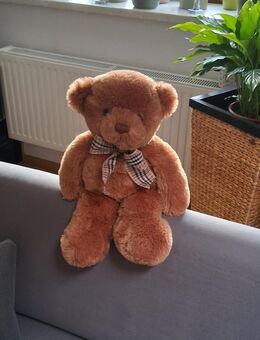 2 sehr schön Teddybären Plüschtier - Görlitz