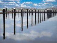 Vermietung von Liegeplätzen an der Schlei - Marina Schleiterrassen Kappeln - Kappeln (Schleswig-Holstein)