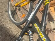 Mountainbike - Seegebiet Mansfelder Land