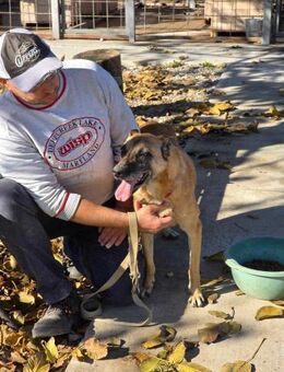 Herz in Not = soziale RUBY 🆘🆘🆘 - München