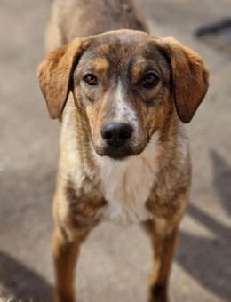 Giordana ist so hübsch und niedlich! - Karben